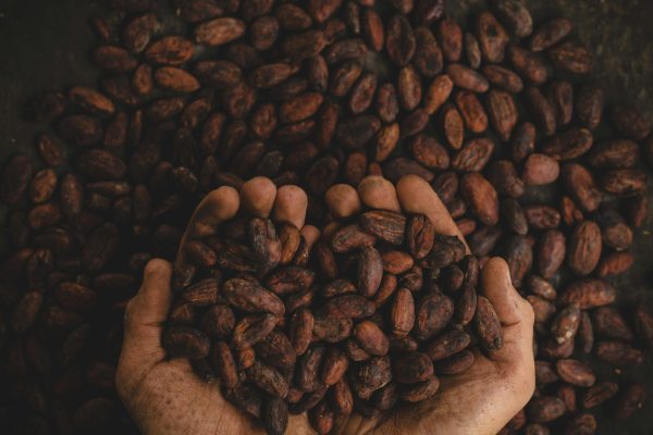 pablo merchan montes scbq6ukcymy unsplash